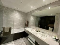 St. Regis Residences (D10), Apartment #480627241